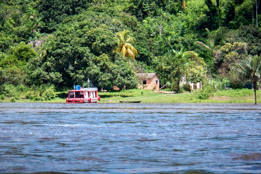 Komentarz do adhortacji "Querida Amazonia" (Tomasz Szyszka SVD)