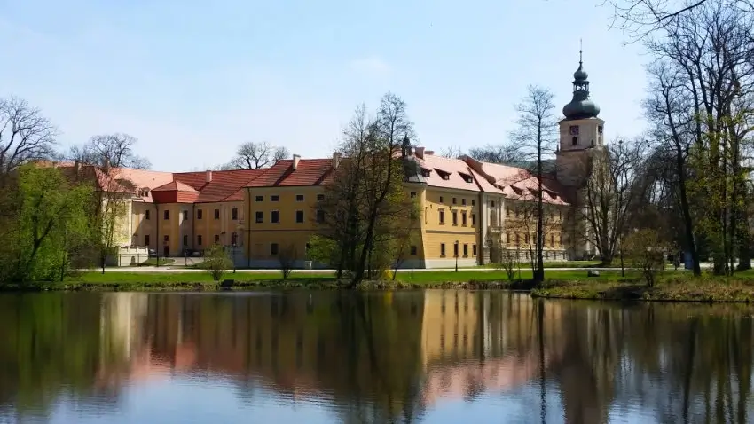 rudyracib wystawa 2024 03