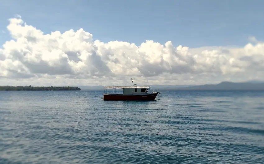 wmadziar kairiru stycz2026 05